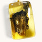 Plant Amber Pendant